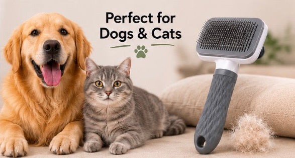 Easy Clean Pet Brush